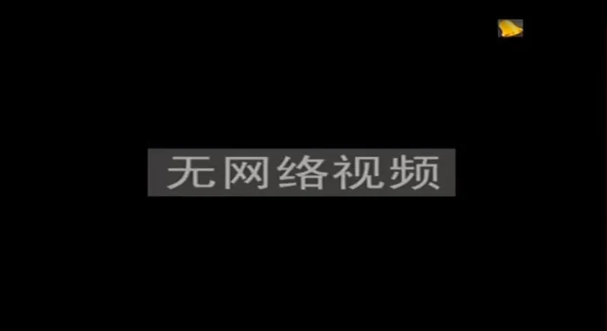 無網(wǎng)絡(luò)視頻